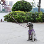 S-ETOVUS-Chain Dog Leash, Bite-Proof Metal Leash, with Padded Handle | Three Sizes 7.25FT/5.2FT/4FT, Woven From Nylon Rope And Chain, Durable And Bite-Resistant, Comfortable With Padded Handles