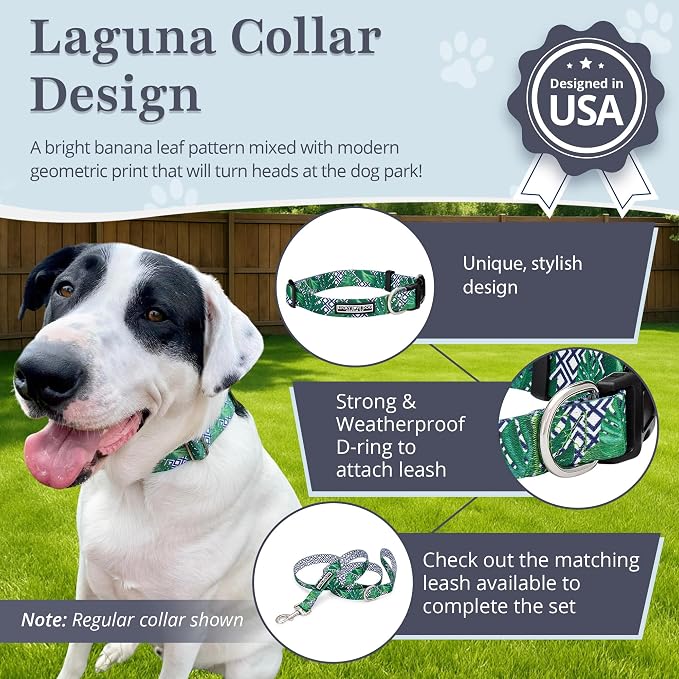 Lucky Love Dog Collar and Leash Set, Beautiful & Vivid Patterns, Easy On & Off Clasp Accessory (Blue Laguna, S Combo)