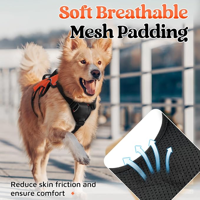 rabbitgoo Escape Proof Dog Harness for Large, No Pull with Lift Handle | No Escape, Full Soft Padded, Reflective Adjustable Vest, Leash Clip for Walking Hiking Training, Orange, Large