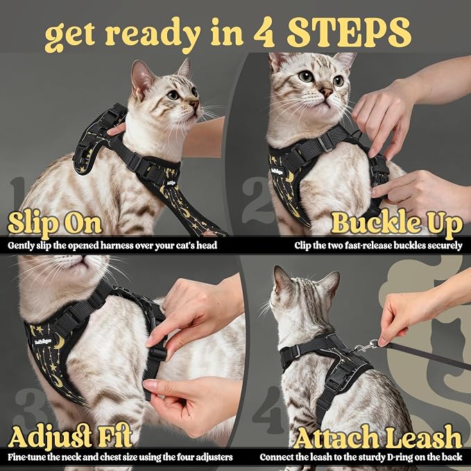 rabbitgoo Cat Harness and Leash Set, Escape Proof Vest, Lunar Prowl | Soft Breathable Mesh, Easy Adjustable Fit, Snap Buckles, Sturdy Clip, Reflective Strips, for Small & Average Cats Walks, Xs