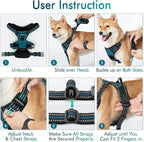 rabbitgoo Dog Harness No Pull with 2 Leash Clips, Adjustable Soft Padded, Reflective Oxford No Choke Pet Vest with Easy Control Handle for Large Dogs, Blue Coral, XL | No Choke with Handle, Adjustable Soft Padded, Reflective, Easy Control for Walking, ...