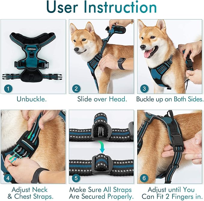rabbitgoo Dog Harness No Pull with 2 Leash Clips, Adjustable Soft Padded, Reflective Oxford No Choke Pet Vest with Easy Control Handle for Large Dogs, Blue Coral, XL | No Choke with Handle, Adjustable Soft Padded, Reflective, Easy Control for Walking, ...