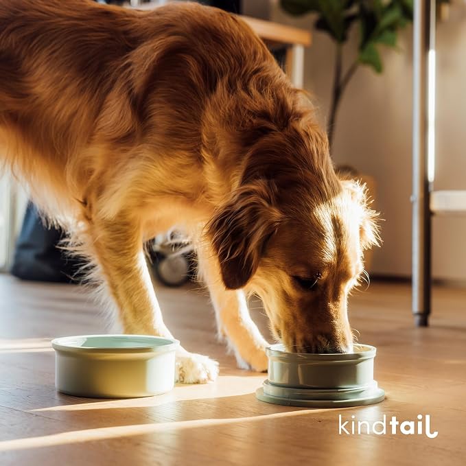 Dog Travel Bowls - Set of 2 Portable Pet Food & Water Dishes with Lid & Handle - Each Nesting Container Includes a Non-Slip Silicone Base - Microwave & Dishwasher Safe - BPA & Toxin-Free
