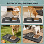 Dog Bowl Set, No Spill Dog Water and Food Bowl with Silicone Mat | Large Capacity 304 Stainless Steel Bowls, 2-In-1 Set, Slows Drinking, Anti-Slip Silicone Feeding Mat, Home/Travel, 6-7 Cups