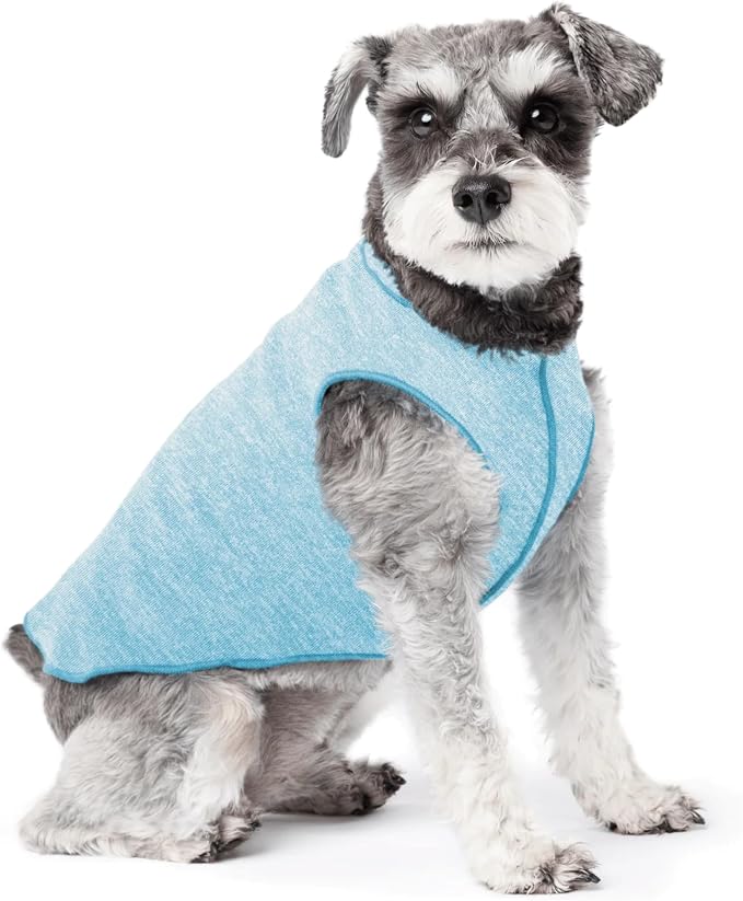 Goldpaw Dog Sun Shirt with UV Protection - Lightweight, Cooling Sun Protection Clothing for Small Dogs - Reduce Heat Absorption - Pet Clothes Made in the USA - Machine Washable - Ocean Blue - Size 10