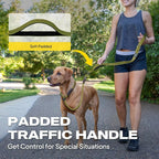 Fida 2-in-1 Slip Lead Dog Leash with 2 Handles, 6FT Training Leash, Green | No Collar Needed, Tangle Free, Soft Padded Handles, Traffic Control,Reflective Heavy Duty No Pull Leash for Medium-Large Dogs