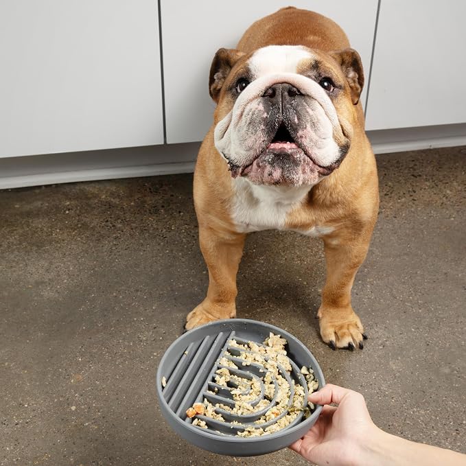 Slow Feeder Dog Bowls - Medium Size Silicone Slow Eating Dog Bowl for Puppies & Dogs with Suction Cup -Dishwasher-Safe,Lick Mat Design,Reduces Gulping,for All Breeds,7.5”x1.5”- Charcoal