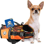 Dog Life Jacket — Premium Swim Vest with SafeChin Anti-Choke Collar | PAWS Aboard Racing Flames | RapidLift Rescue Handle, D-Ring, Reflective Trim | Boating, Kayaking, Pool | XX-Small (Under 6 lbs)