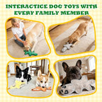 No Stuffing Dog Toys, Tough Durable Plush Chew Toy for Boredom and Teething, Squeaky Dog Toys for Small Medium Large Dogs to Keep Them Busy (5 Pack)