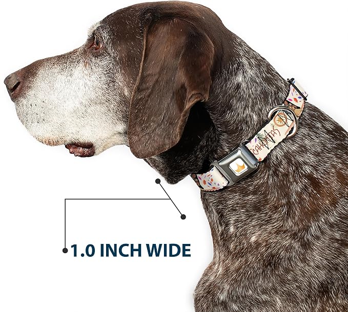 Dog Collar Seatbelt Buckle Pocahontas and Meeko Compass Pose with Script and Leaves Beige 9.5 to 13 Inches 1.0 Inch Wide | Pocahontas and Meeko Compass with Script and Leaves Beige Durable Metal Adjustable ID Tag Ring