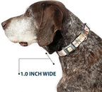 Dog Collar Seatbelt Buckle Pocahontas and Meeko Compass Pose with Script and Leaves Beige 15 to 24 Inches 1.0 Inch Wide | Pocahontas and Meeko Compass with Script and Leaves Beige Durable Metal Adjustable ID Tag Ring