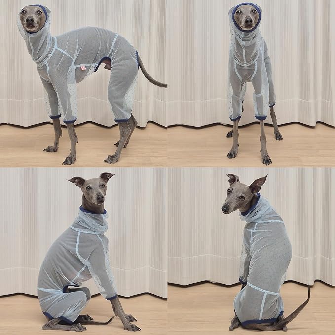 D Doggy Star Italian Greyhound Clothes Sheer Mesh Onesie Summer Jumpsuit Breathable Full Body Protection for Outdoor Walks Small Whippet Fit (S,Sheer Mesh Blue)