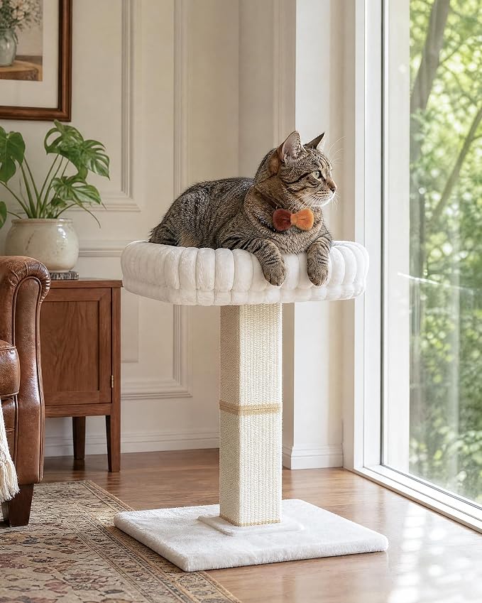 Morden Cat Scratching Post with Top Plush Bed for Indoor Cats | Removable & Washable Perch, Small Morden Cat Tree, Cat Tower with Scratch Post, Natural Sisal, White