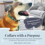 Lucky Love Dog Collar, Beautiful & Vivid Pattern Medium Boy Dog Collars, Easy On & Off Clasp Accessory (Blue Laguna, M)