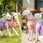 Spark Paws Sunblock Dog T-Shirt, SPF30 Protection, Lightweight Breathable Quick Dry for Dogs with Sensitive Skin - Berries & Peaches (Set of 2) - Size S