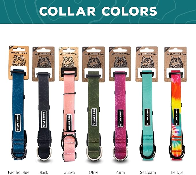 Wilderdog Waterproof Dog Collar - Repels Water & Dirt - Small 11"-15" - Black