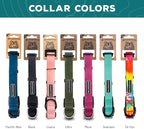 Wilderdog Waterproof Dog Collar - Repels Water & Dirt - Small 11"-15" - Seafoam