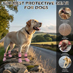 EXPAWLORER Dog Socks for Summer Hot Pavement to Prevent Licking Paws, Anti Slip Doggie Grippy Booties Shoes for Hardwood Floors, Boots & Paw Protectors for Small Medium Large Senior Dogs Pink XL