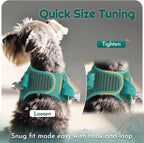 Eagloo Small Dog Harness and Leash Set, Step in Small Sized Puppy Pet Vest | Light, Soft, Breathable Air Mesh, Easy on and off with Hook & Loop, Reflective for Safe Walking, Forest Green, XS