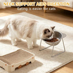 Elevated Cat Bowls 3 Pack, 15° Tilted Raised Cat Food & Water Bowls with Stainless Steel Dishes, Whisker-Friendly Anti-Vomiting Pet Bowls for Cats & Small Dogs