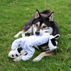 Best Pet Supplies Squeaky Dog Toys with Soft Durable Fabric for Small, Medium and Large Pets Interactive Toy for Indoor Play, Supports Active Biting and Play - Sheep, Cow, size L