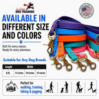 Gummy K9 Dog Leash, Biothane, Dog Training Leash, Made in The USA, 6 Feet, Various Sizes & Colors (3/4, Light Blue)
