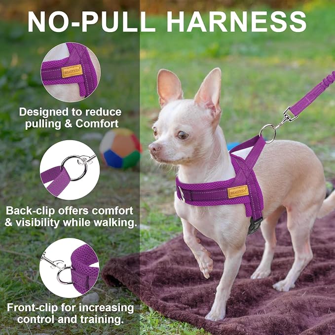 BEAUTYZOO Dog Harness for Large Dogs, No Pull Dog Harness and Leash Set, Soft Escape Proof Puppy Vest Harness with Handle, Reflective Lightweight Step in Harness for Girl Boy Dogs, Purple L