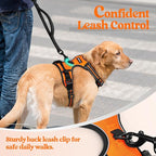 rabbitgoo Dog Harness, No Pull for Small Dogs with 2 Leash Clips, Pet Vest | No Choke with Handle, Adjustable Soft Padded, Reflective, Easy Control for Walking, Orange, Small