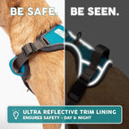 Embark Adventure XL Dog Harness – No-Pull, Reflective Trim, Military-Grade Nylon, Dual Leash Clips, Gel-Lined Handle for Extra Large Dogs