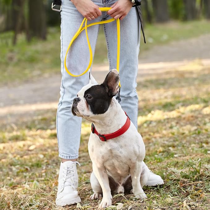 Dogline Biothane Waterproof 4ft Dog Leash Strong Coated Nylon Webbing with Black Hardware Odor-Proof Easy to Clean High Performance for Small or Large Dogs Made in USA 4ft Lead, Lemon Yellow