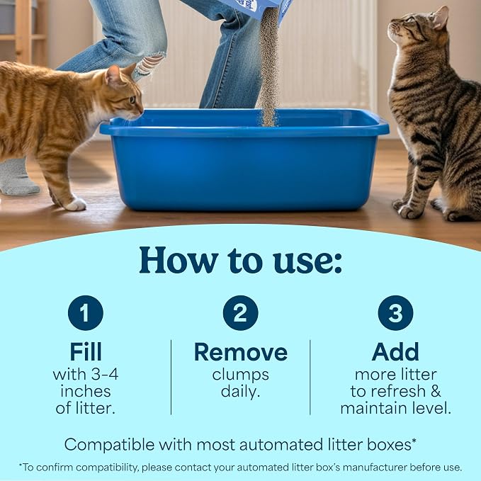 Fresh Step Advanced Ever Fresh Multi Cat Clumping Litter with Febreze Freshness, Ammonia Block Technology, Ultra Absorbent, 16 lb. Box, Pack of 2 | Ultra Absorbent to Last Longer, Scented with Febreze Freshness, Lowest Dust Formula, Compatible with Mos...