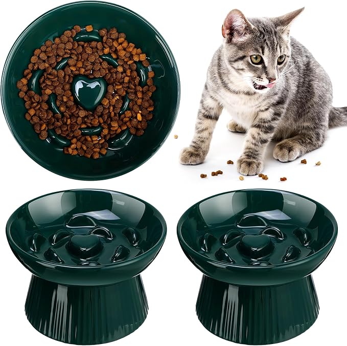 Tioncy 1 Pcs Ceramic Elevated Slow Feeder Cat Bowl, Raised Cat Slow Feeder Bowl, Anti Vomiting for Dry and Wet Food, No Spill High Edge Easy Clean Dishwasher Safe (Dark Green)