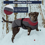 IECOii Extra Warm Dog Coat - Reflective, Adjustable Winter Jacket with Buckle & Fleece Turtleneck Dog Jackets for Small Dogs, Waterproof & Windproof Fleece Vest for Cold Weather, Burgundy, Small