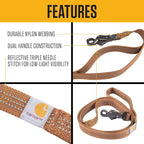 Carhartt Dual Handle Dog Leash, Durable Nylon Webbing Fabric W/Secure Metal Trigger Claw Clasp, Port, Large