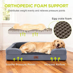 Waterproof Orthopedic Dog Bed for Extra Large Sized Dogs | Memory Foam Pet Bed Sofa with Bolster, Dog Couch with Washable Cover & Non-Slip Bottom, 45x35 Inch, Dark Grey