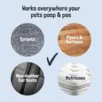 Sunny & Honey Pet Stain and Odor Remover Spray for Carpets, 32floz Spice | USA Made - Enzyme Cleaner for Dog Urine & Poop - Eliminates Set In Stains - Color Safe - For Rugs, Furniture & Car Seats