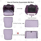 EliteField Deluxe Soft Pet Carrier for Cats and Dogs (3-Year Warranty) | Airline Approved, Waterproof Fabric, Scratch-Resistant Mesh, Expandable Mat, Built-In Leash, Suitcase Sleeve, Seat Belt Loops