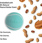 Playology Dog Toys | Squeaky Chew Ball for Dogs | Peanut Butter Scented Medium Dog Ball | Bouncy Floating Chew Toys for Fetch