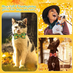 60 Pcs Thanksgiving Dog Collar Bow Ties Bulk Fall Dog Detachable Attachment Puppy Bows for Small Medium Large Cat Grooming Supplies