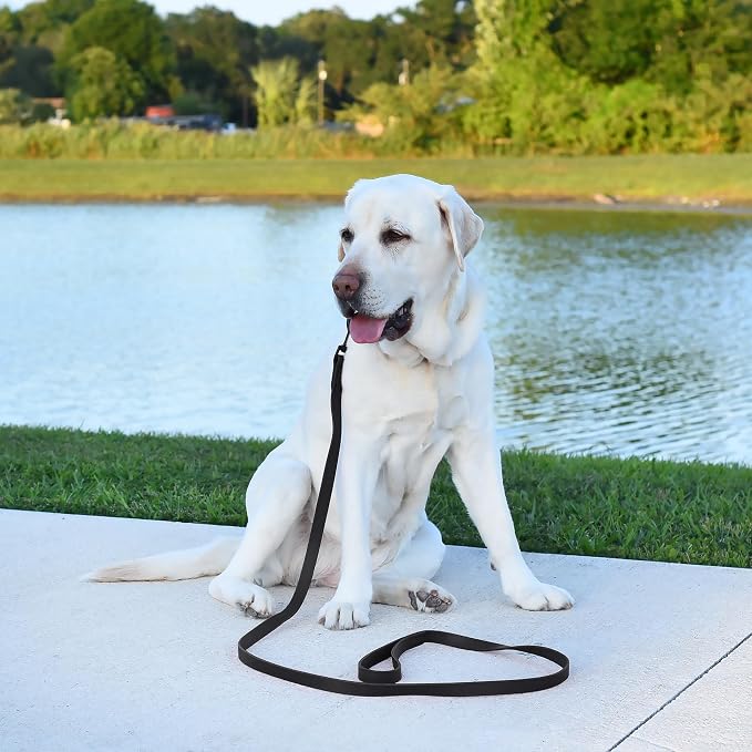 Dogline Biothane Waterproof Dog Leash Strong Coated Nylon Webbing with Black Hardware Odor-Proof Easy to Clean High Performance for Small or Large Dogs Made in USA 4 or 6 ft Lead, Black