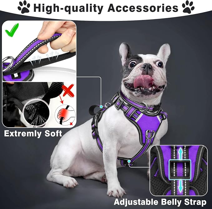 WINSEE Pet Harness Collar and Leash Set, All-in-one Reflective Dog Harness No Pull with Adjustable Buckles for Puppies, Small, Medium, Large, and Extra-Large Dogs (Medium, Purple)