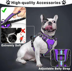 WINSEE Pet Harness Collar and Leash Set, All-in-one Reflective Dog Harness No Pull with Adjustable Buckles for Puppies, Small, Medium, Large, and Extra-Large Dogs (X-Large, Purple)