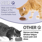 6 Pack Cat Food Bowl, Ceramic Cat Bowls, Anti Whisker Fatigue Cats Bowl Set | 5.5 Inches Shallow Wide Kitten Plates for Food and Water (CaiSe-A)