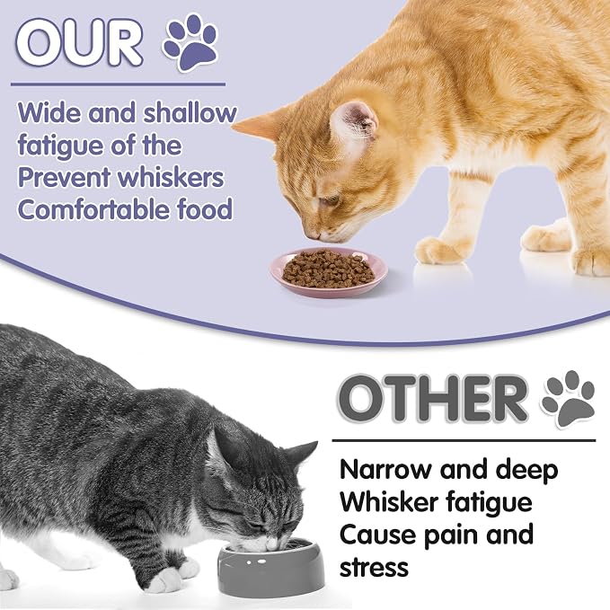 6 Pack Cat Food Bowl, Ceramic Cat Bowls, Anti Whisker Fatigue Cats Bowl Set | 5.5 Inches Shallow Wide Kitten Plates for Food and Water (CaiSe-A)