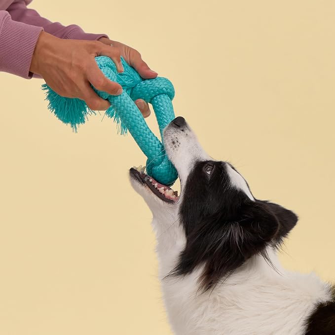 Playology Dog Toys | Dri-Tech Rope Tug of War Dog Toy for Tough Chewers | Peanut Butter Scented Jumbo Tug Rope Toys for Large Dogs