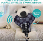 Haute Diggity Dog Chewy Vuiton Bone Plush Squeaky Dog Toy, Soft Durable Designer-Inspired Stuffed Puppy Chew Toys for Small & Medium Dogs, Machine-Washable (Black Checker) Small