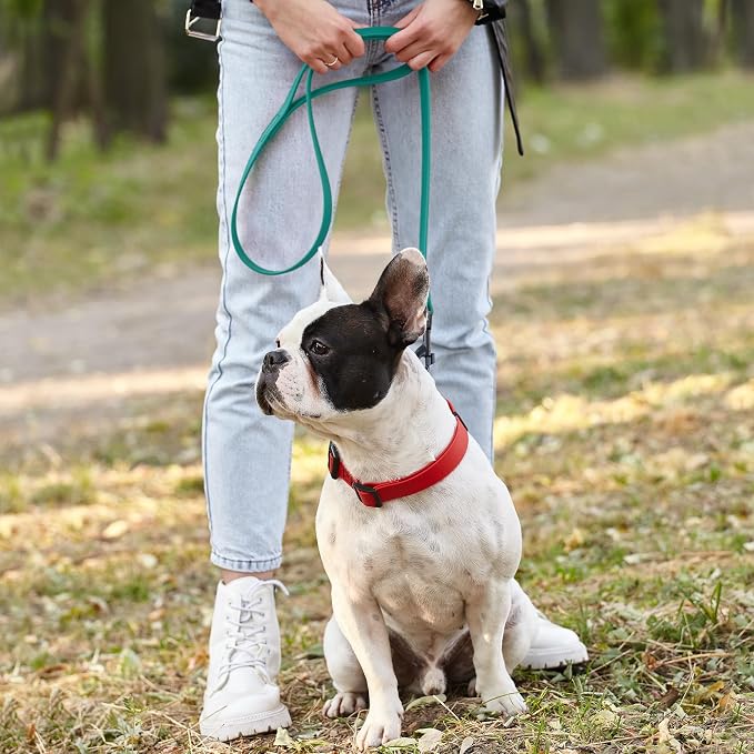Dogline Biothane Waterproof Dog Leash Strong Coated Nylon Webbing with Black Hardware Odor-Proof Easy to Clean High Performance for Small or Large Dogs Made in USA 2 ft Lead, Blue Aqua