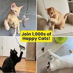 Cat Feather Toy Refill 3-Pack - Natural Feather Cat Toy - Small Size Cat Wand Attachments - Official Cat Toy Feather Replacement for Forever Stick Cat Wand Toy - Cat Wand Refill - Cat Lure and Teaser