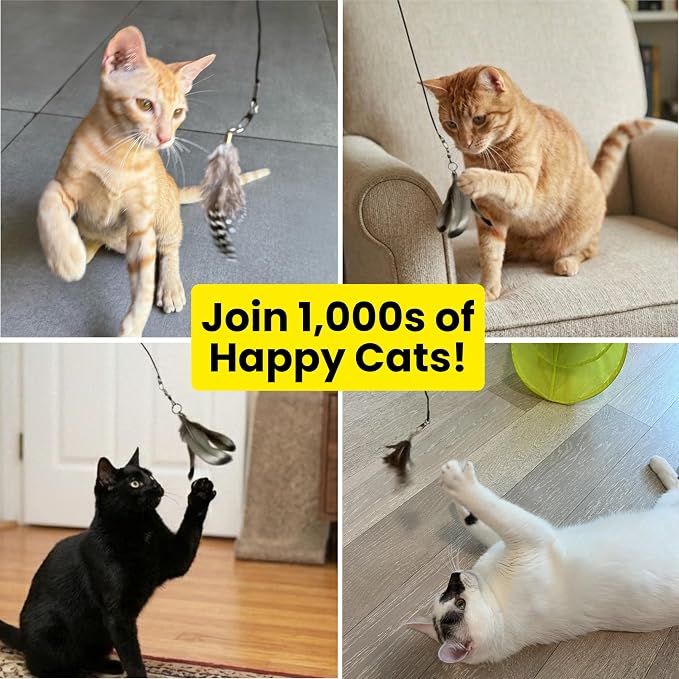 Cat Feather Toy Refill 3-Pack - Natural Feather Cat Toy - Small Size Cat Wand Attachments - Official Cat Toy Feather Replacement for Forever Stick Cat Wand Toy - Cat Wand Refill - Cat Lure and Teaser