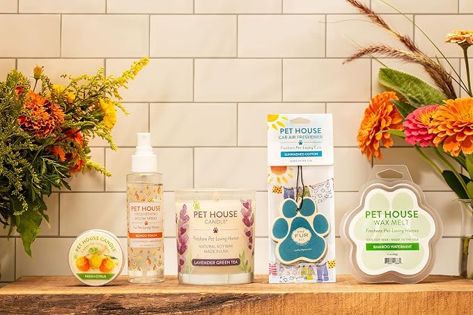 Pet House Candle Value Pack - Plant-Based/Soy - Clean Burning Scented, Long Lasting Pet Odor Candle for Home - Lavender Green Tea